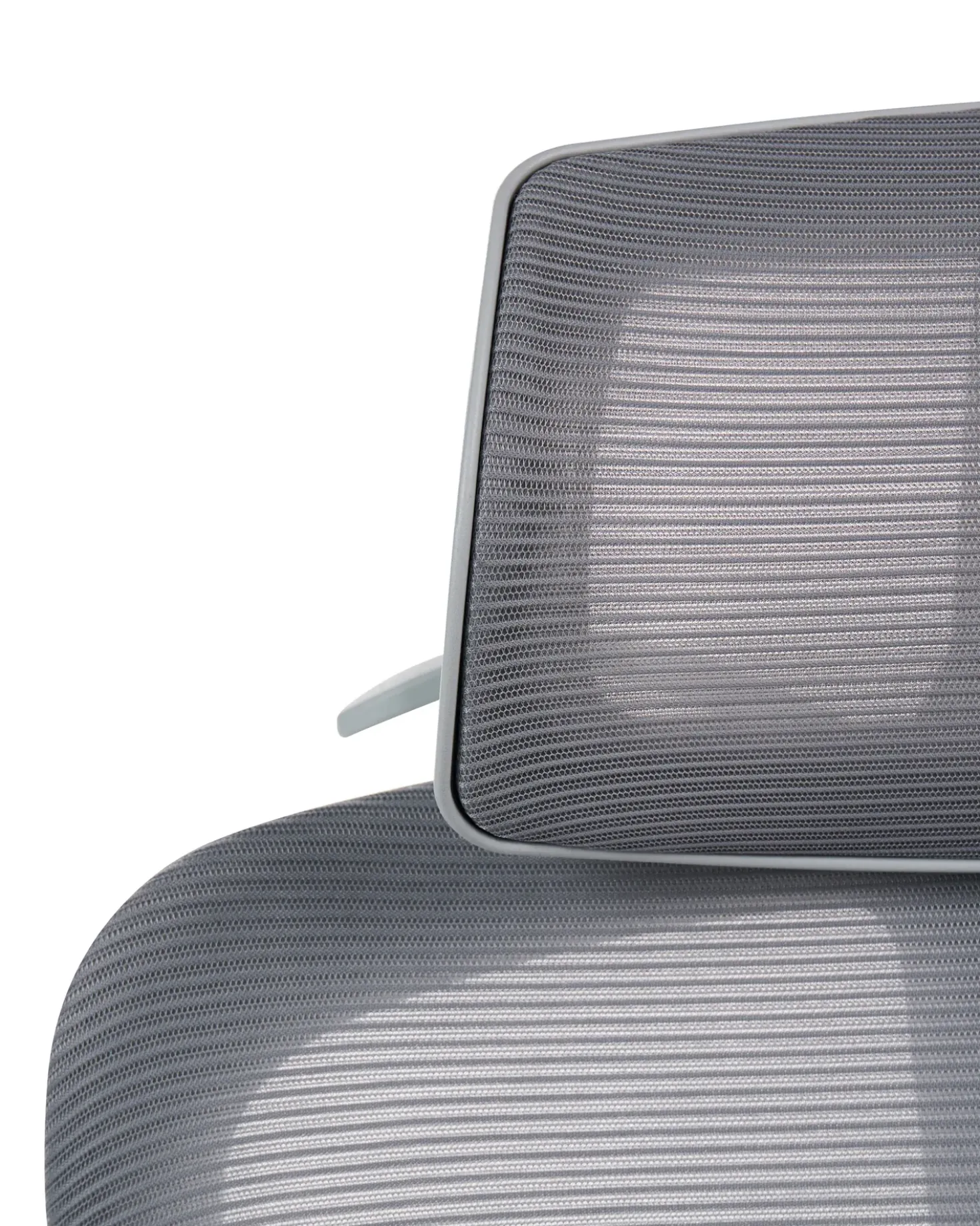 Sedia da ufficio ERGONOX Grigio