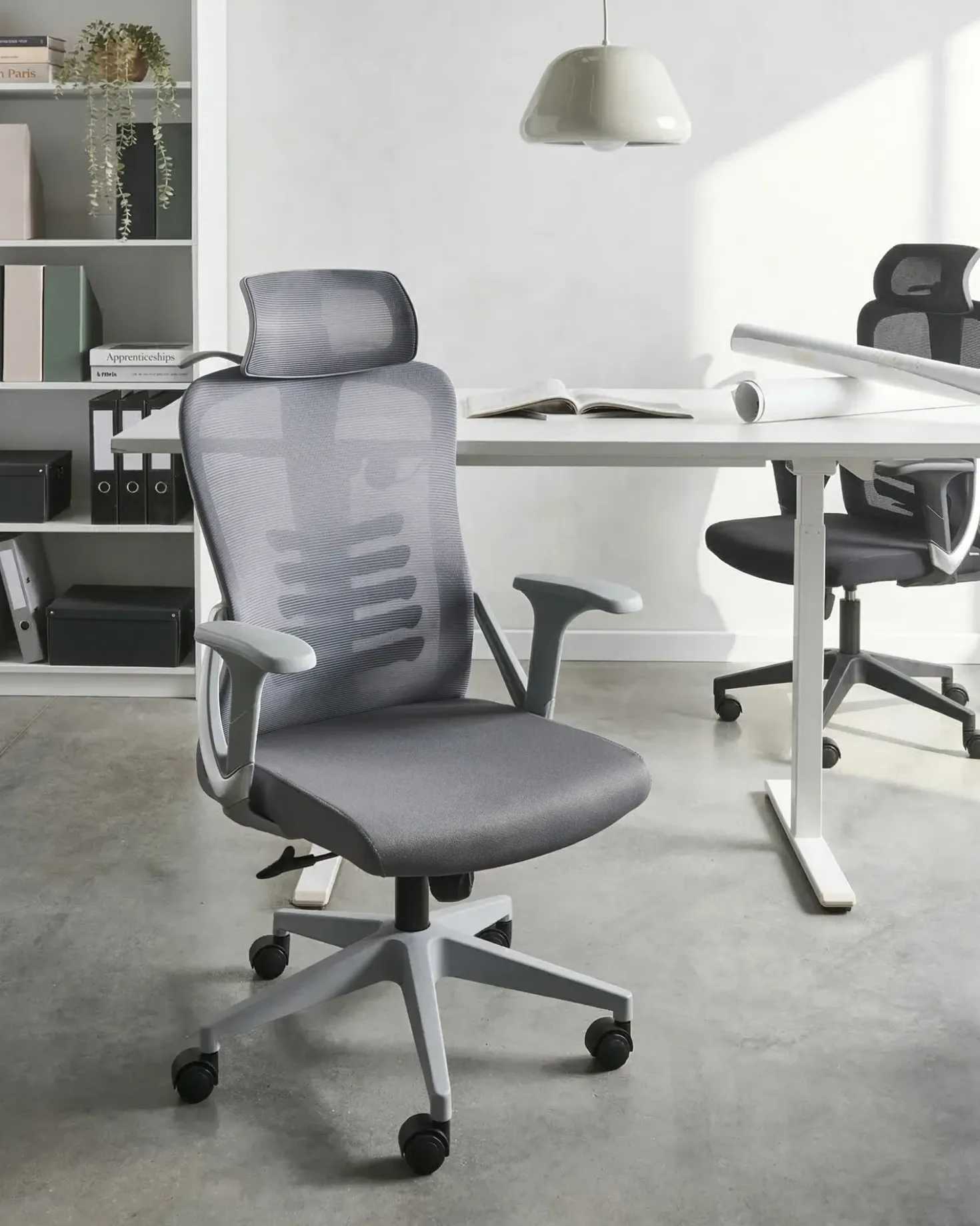 Sedia da ufficio ERGONOX Grigio