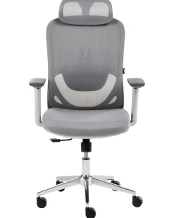 Sedia da ufficio ERVIONE Grigio