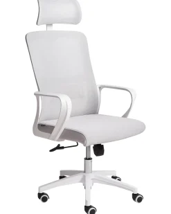 Sedia da ufficio MONARCH Grigio chiaro