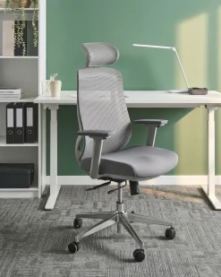 Sedia da ufficio OLYRA Grigio