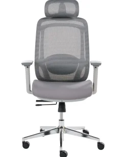 Sedia da ufficio OLYRA Grigio