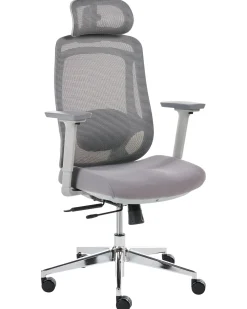 Sedia da ufficio OLYRA Grigio