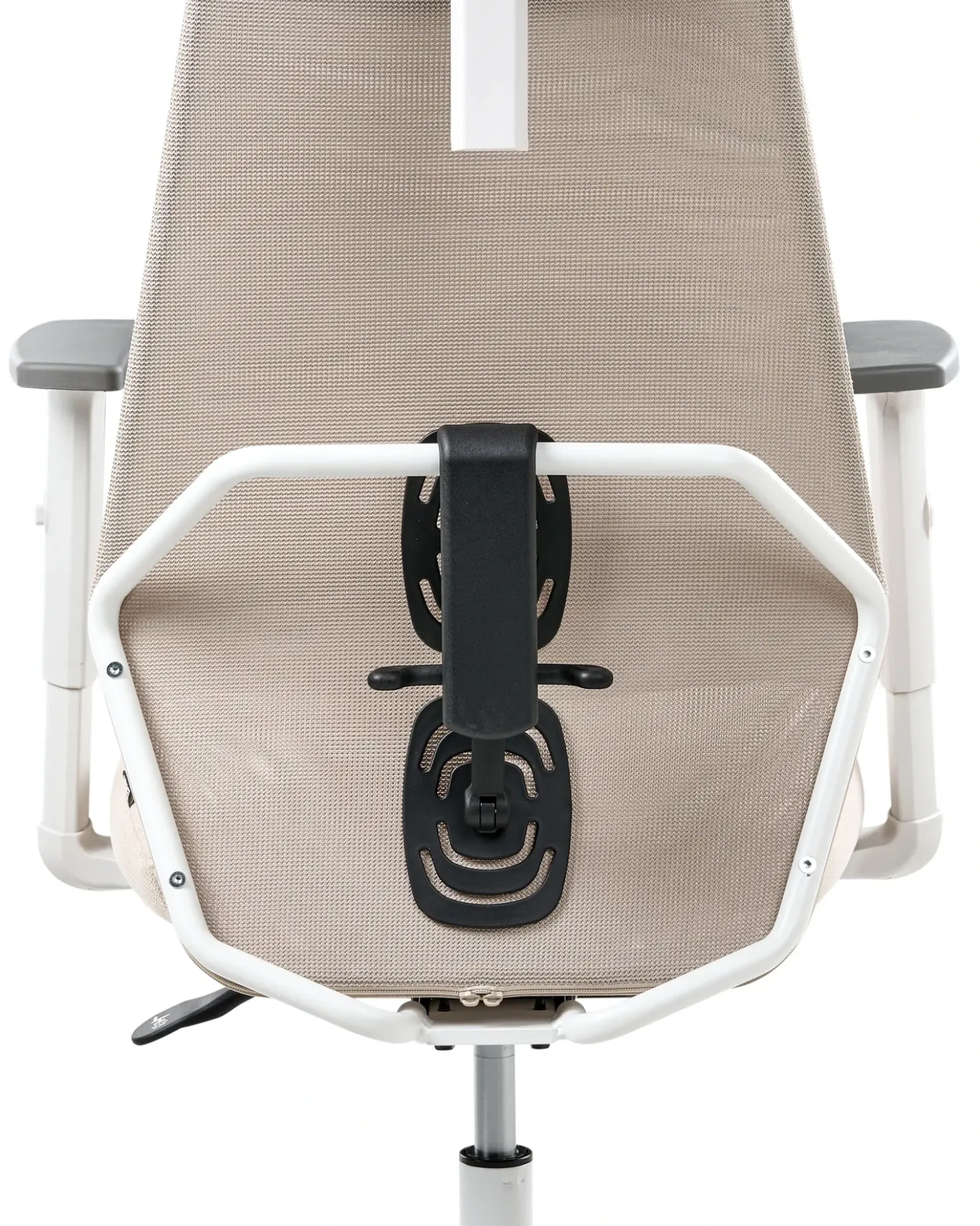 Sedia da ufficio ORYN Beige
