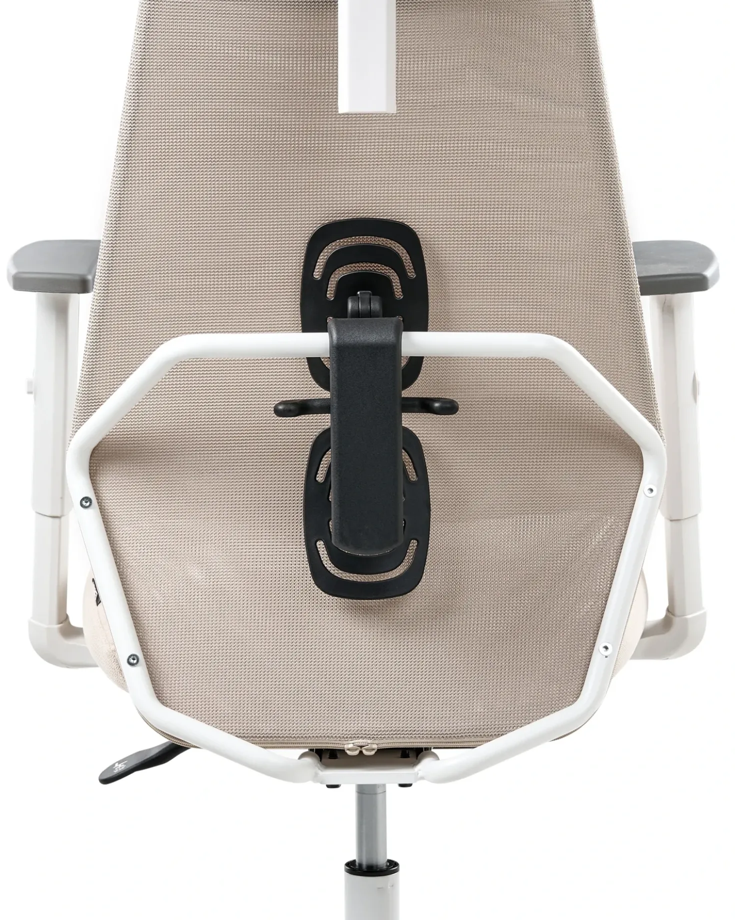 Sedia da ufficio ORYN Beige