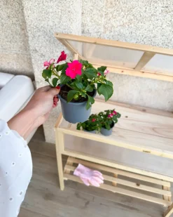 Serra da balcone ARANOVA Legno di abete Marrone chiaro 58 cm