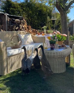 Set da giardino con tavolo 5 posti LIVADEIA Rattan Naturale