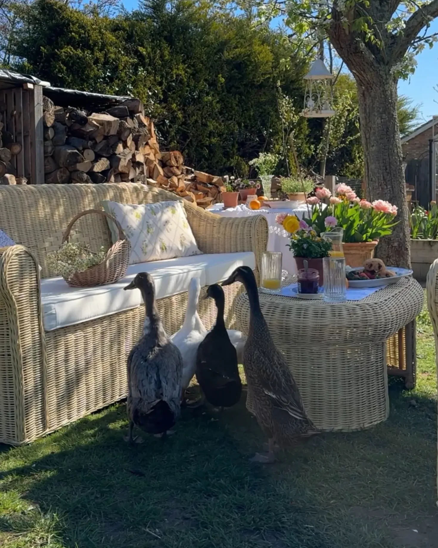 Set da giardino con tavolo 5 posti LIVADEIA Rattan Naturale