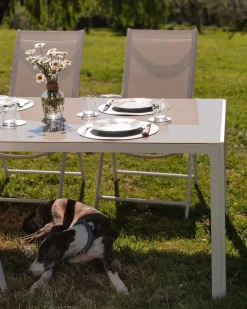 Set da pranzo da giardino 6 posti CATANIA Metallo Beige