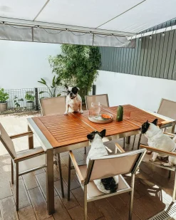 Set da pranzo da giardino 6 posti GROSSETO Legno d'eucalipto Marrone/Beige