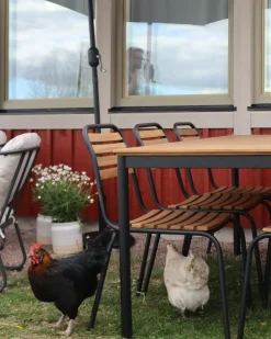 Set da pranzo da giardino 6 posti VALLESE Legno d'acacia Marrone