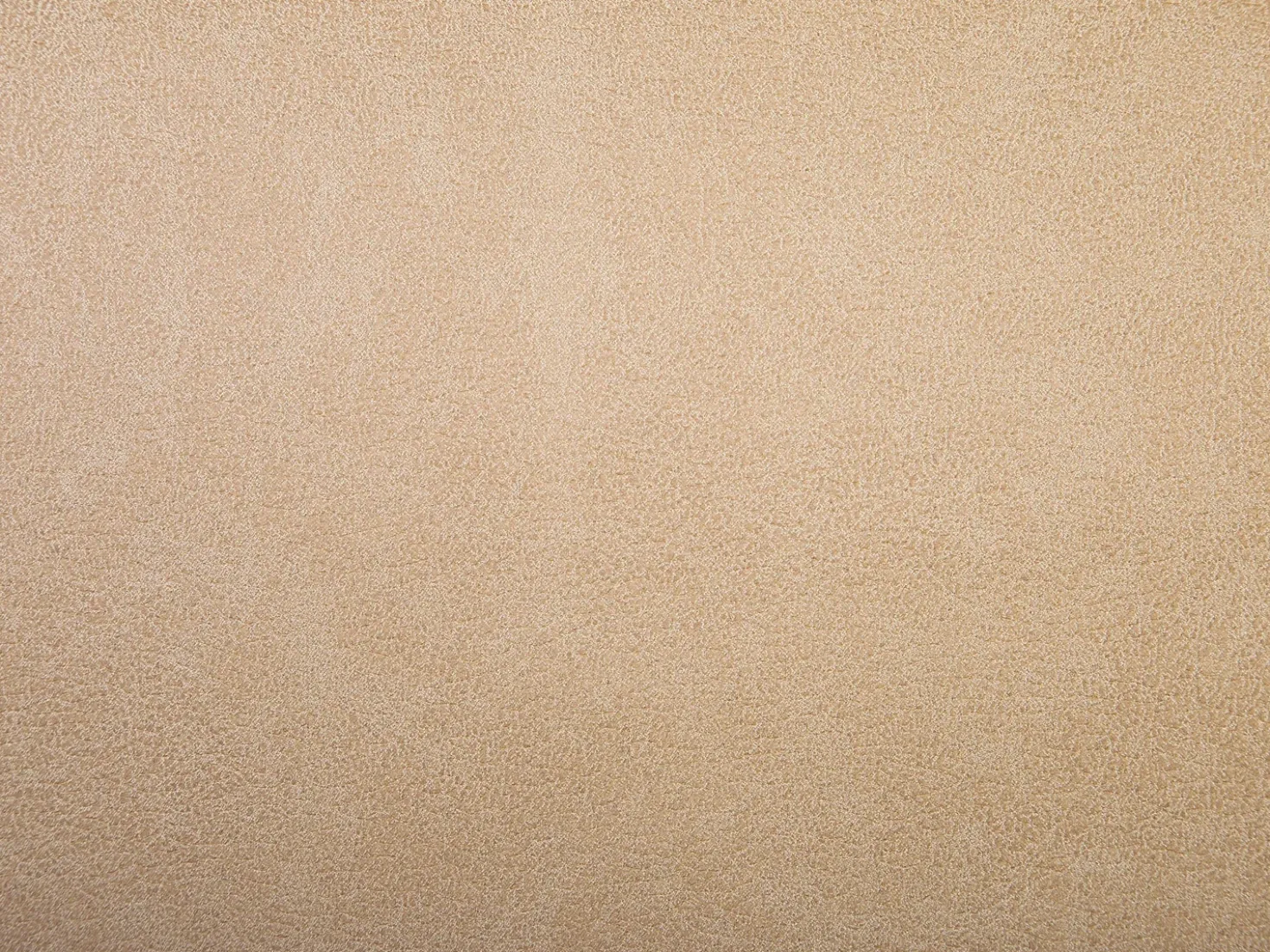 Set da salotto 4 posti SAVALEN Pelle sintetica Beige