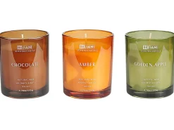 Set di 3 Candele Profumate SHEER JOY Cera di Soia Note fruttate Note fresche