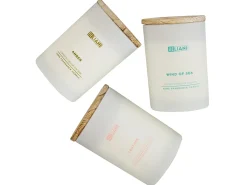 Set di 3 Candele Profumate SIMPLICITY Cera di Soia Note orientali Note fresche