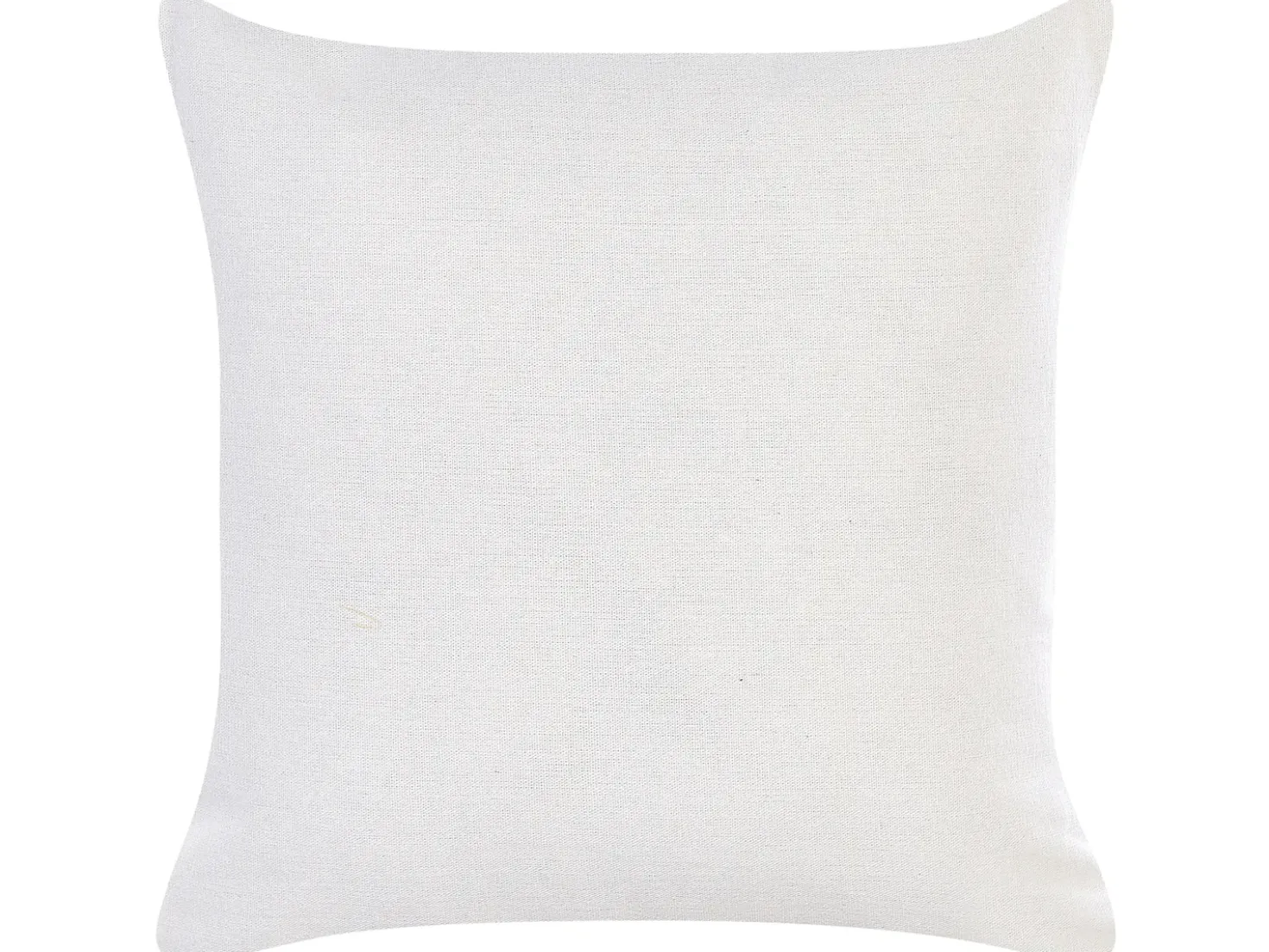 Set di 2 cuscini ABAL 45 x 45 cm Beige Trama animale