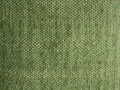 Set di 2 cuscini ANISOPTERA Cotone 30 x 50 cm 45 x 45 cm Verde Tinta unita