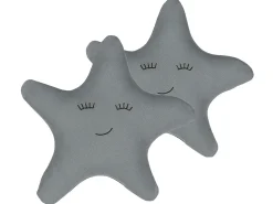 Set di 2 cuscini BHOPAL Cotone 40 x 40 cm Grigio Stella