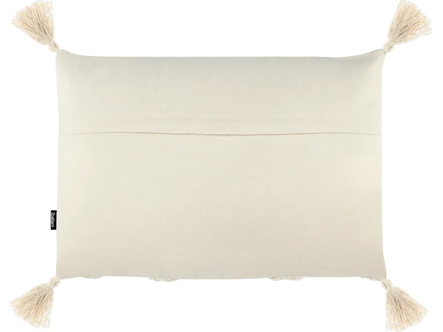 Set di 2 cuscini CERINTHE Cotone 40 x 60 cm Beige chiaro Trama Chevron