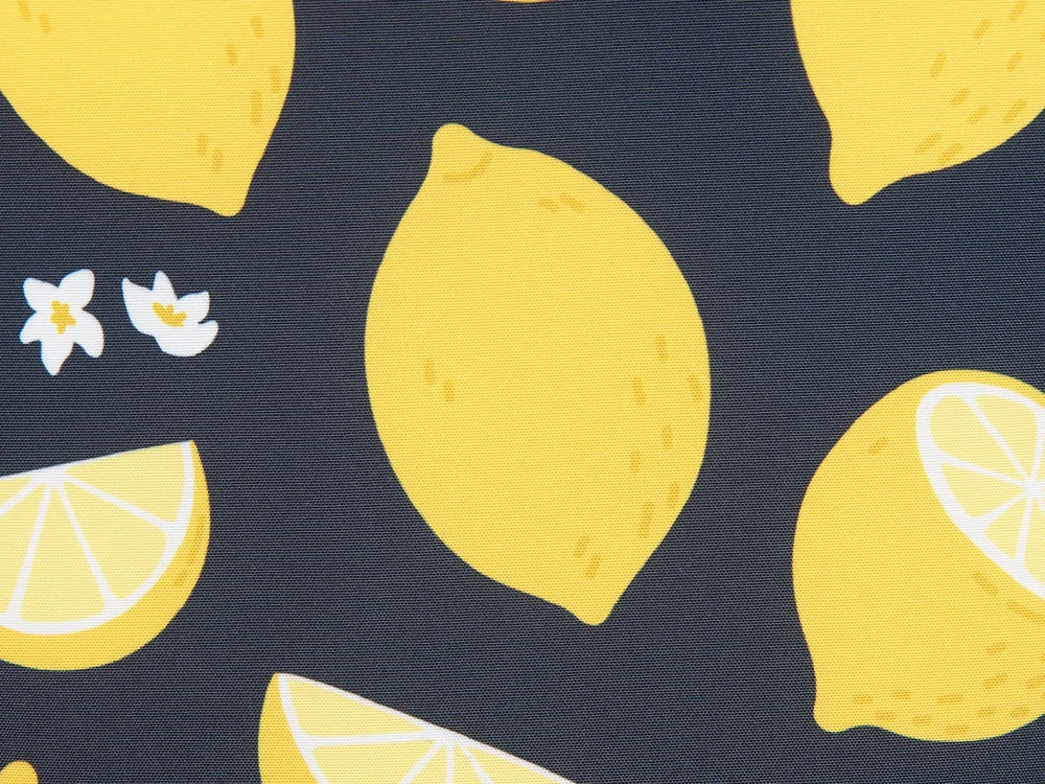 Set di 2 cuscini CITRUS 45 x 45 cm Nero Trama di piante