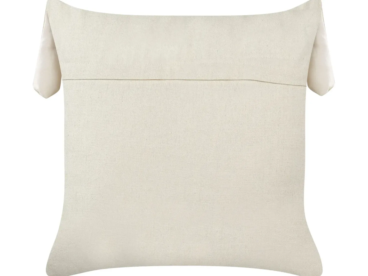 Set di 2 cuscini CONEY Cotone 45 x 45 cm Beige chiaro