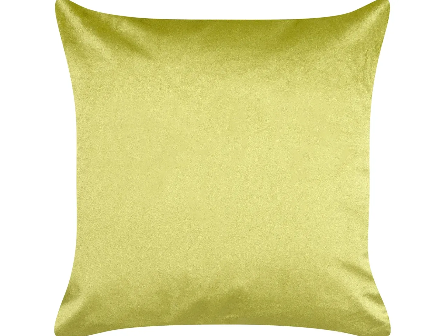 Set di 2 cuscini DELICIOSA Velluto 45 x 45 cm Verde chiaro Trama di piante