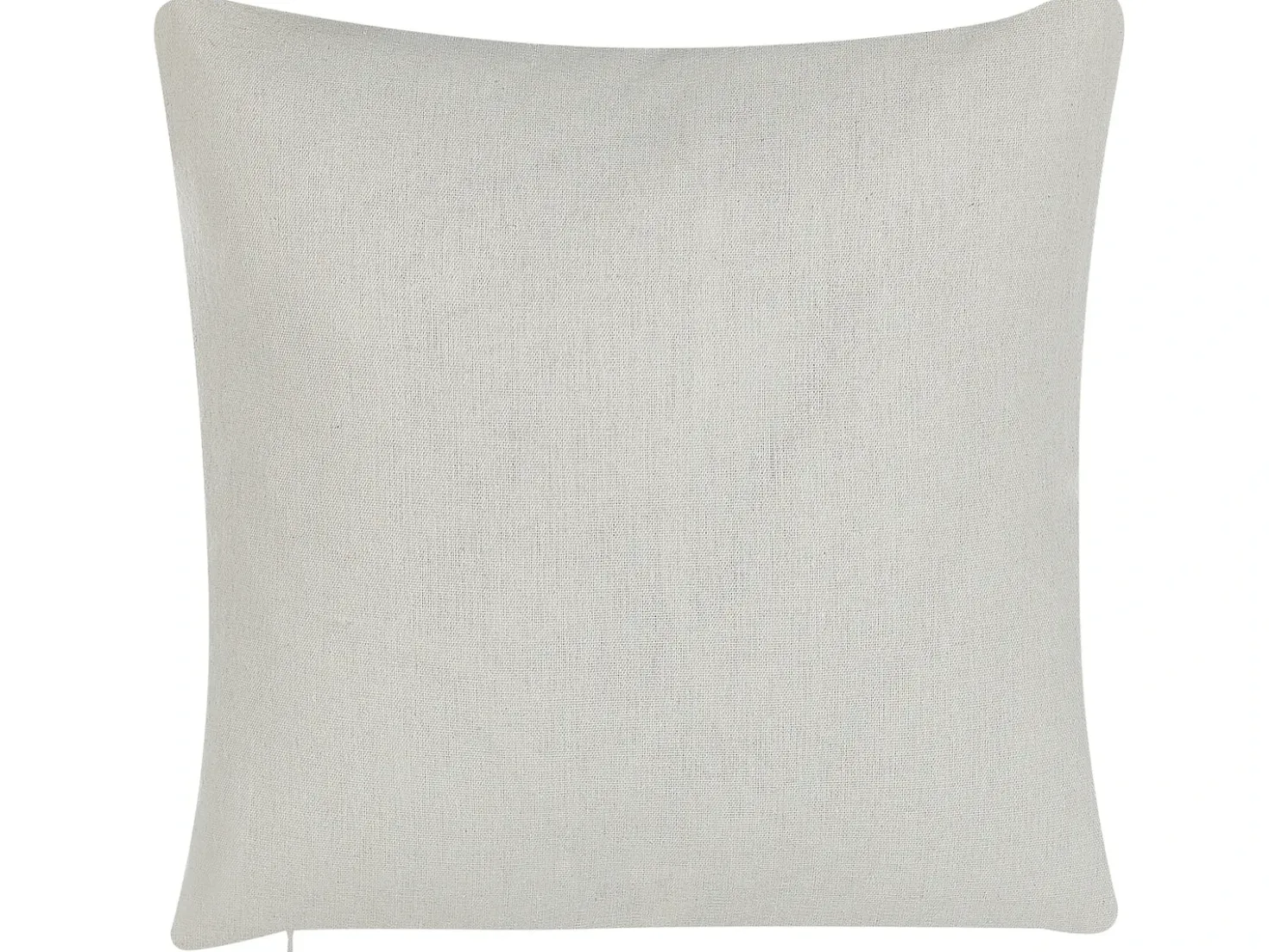 Set di 2 cuscini GOMPHRENA 45 x 45 cm Beige chiaro Trama di piante