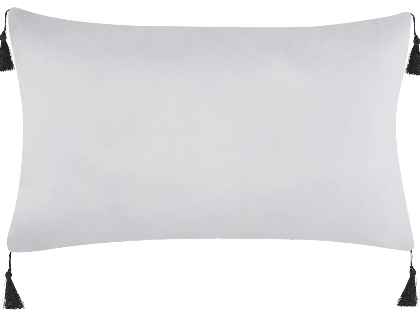 Set di 2 cuscini LIRIOPE 30 x 50 cm Nero/Bianco Trama geometrica