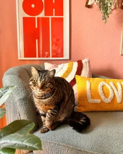 Set di 2 cuscini LOVE Cotone 30 x 50 cm Giallo