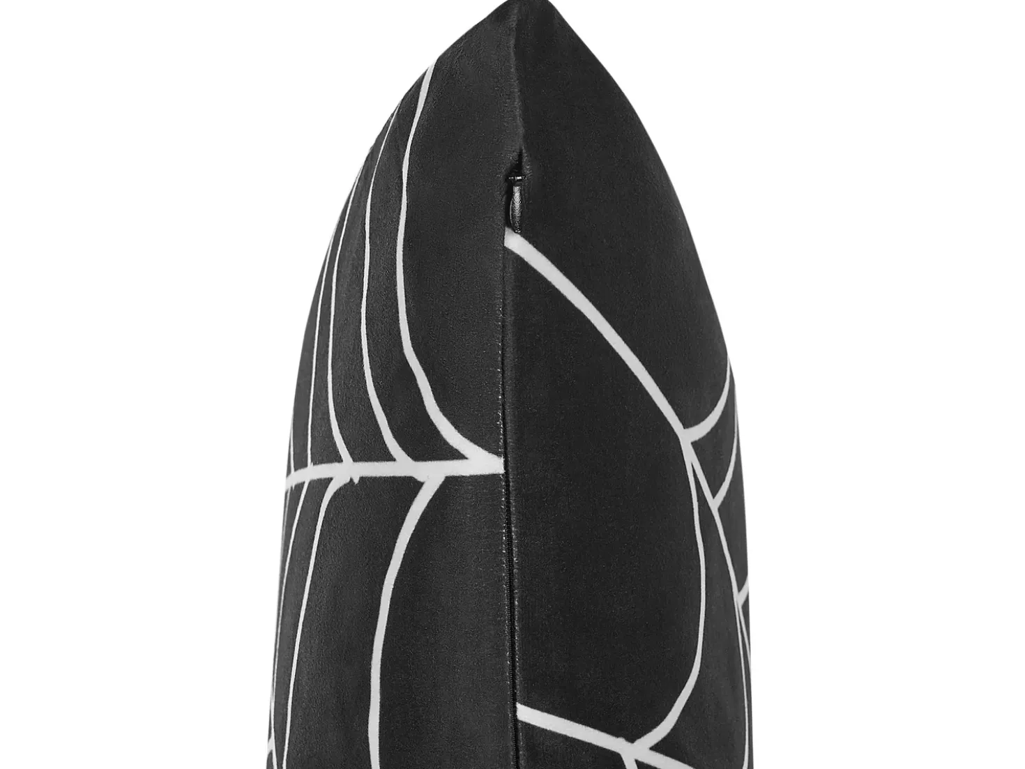 Set di 2 cuscini LYCORIS Velluto 45 x 45 cm Nero Trama astratta