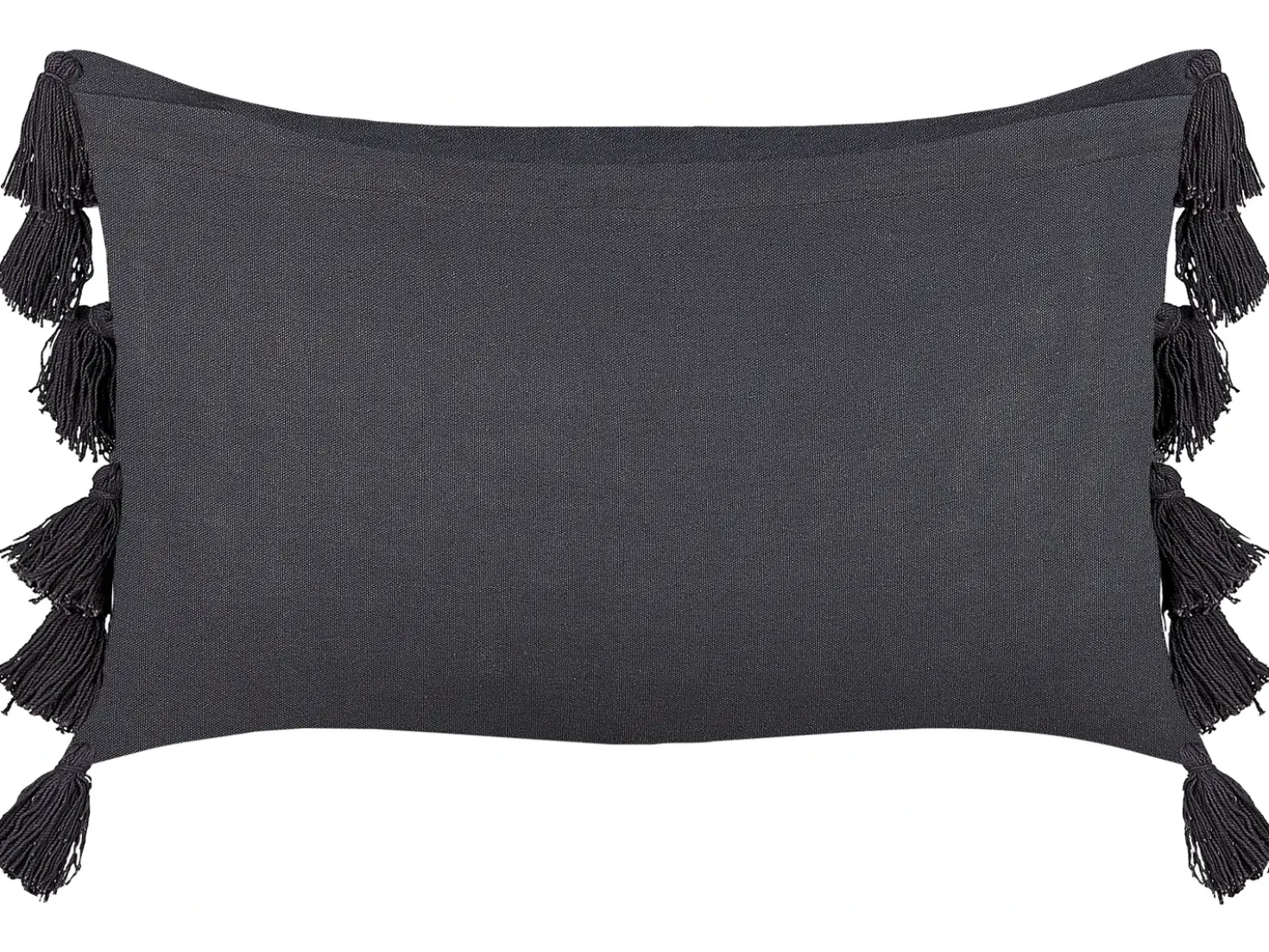 Set di 2 cuscini LYTHRUM Cotone 45 x 45 cm Grigio scuro Tinta unita