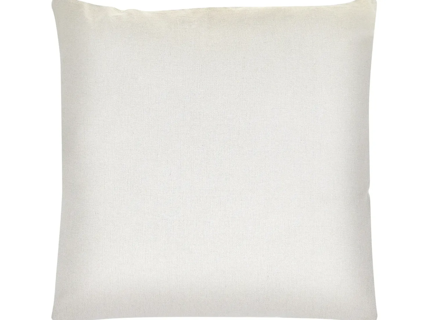 Set di 2 cuscini MICROSORUM 45 x 45 cm Verde chiaro Trama di piante