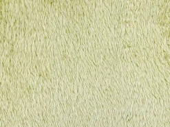 Set di 2 cuscini PILEA Finta pelliccia 45 x 45 cm Verde chiaro Tinta unita