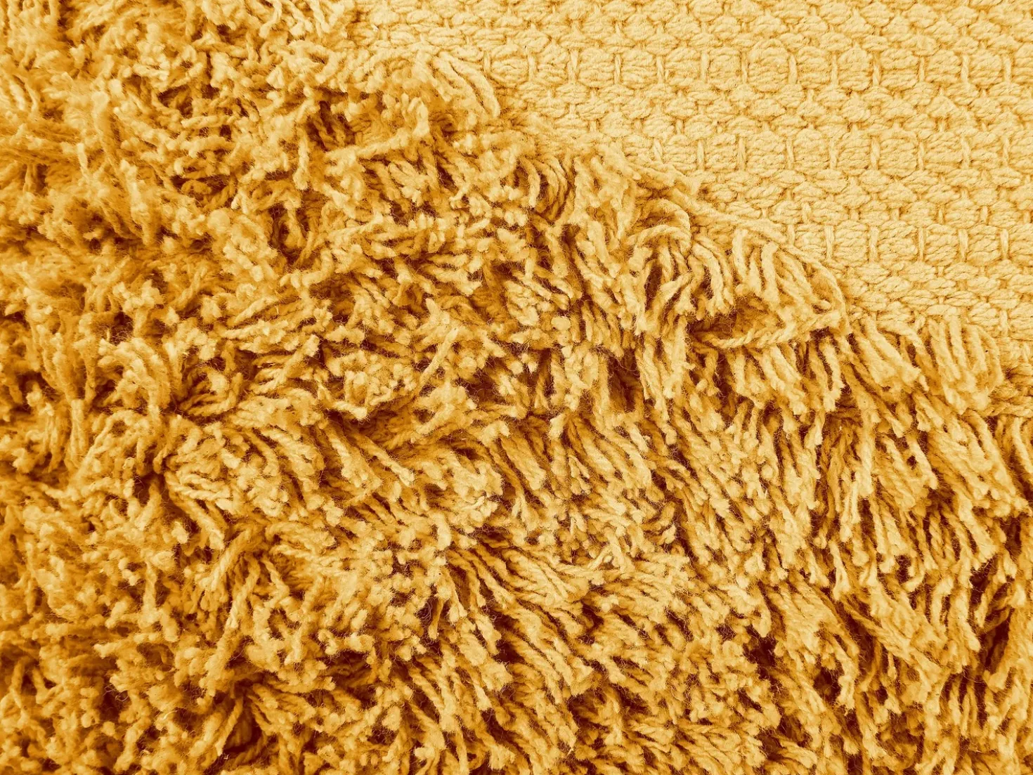 Set di 2 cuscini RHOEO Cotone 45 x 45 cm Giallo Trama geometrica