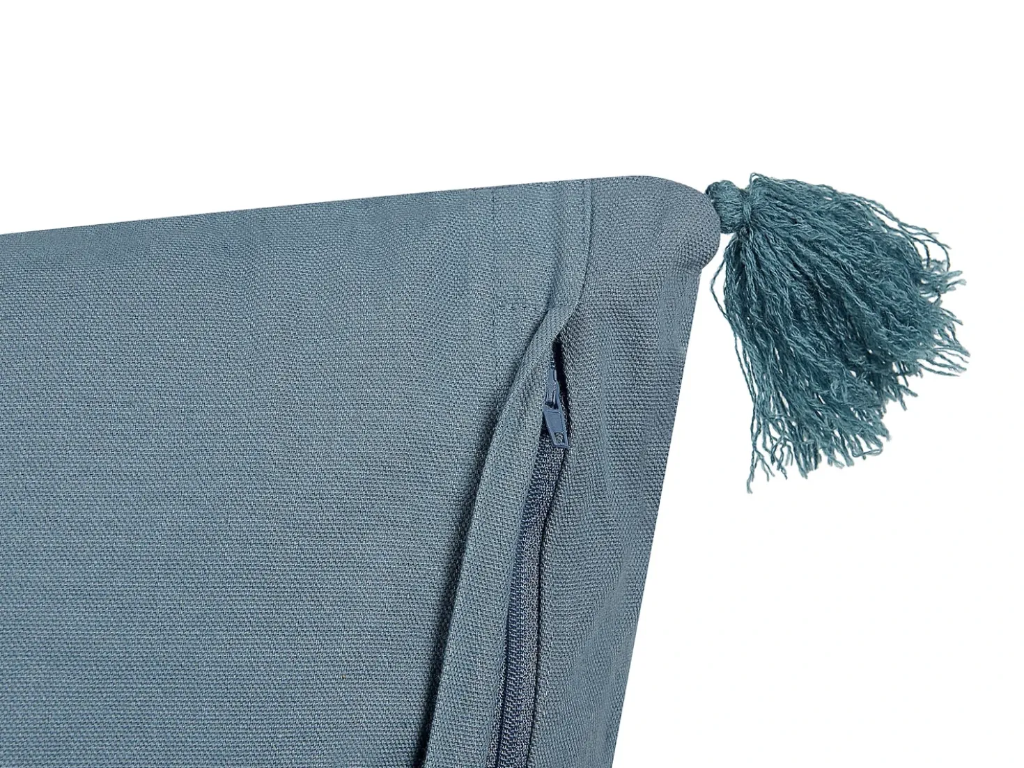 Set di 2 cuscini RIBES Velluto 45 x 45 cm Blu scuro Trama floreale