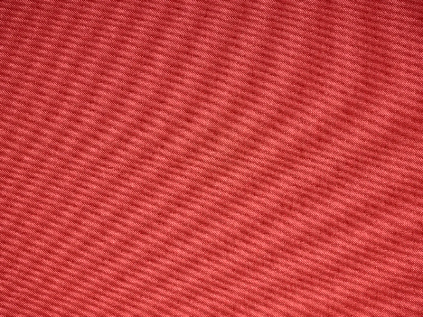 Set di 2 cuscini Schiena/Seduta JAVA/AMANTEA PREMIUM 50 x 71 cm Rosso