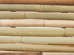 Set di 2 panche da giardino TINDARI 180 cm Bambù Marrone chiaro