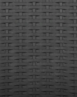 Set di 2 sedie da giardino FOSSANO Materiale sintetico Grigio grafite