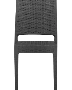 Set di 2 sedie da giardino FOSSANO Materiale sintetico Grigio grafite