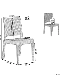 Set di 2 sedie da giardino FOSSANO Materiale sintetico Grigio chiaro