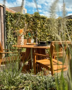 Set di 4 sedie da giardino AGELLO Legno d'acacia Marrone