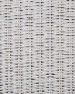 Set di 2 sedie da pranzo ANDES Rattan Bianco