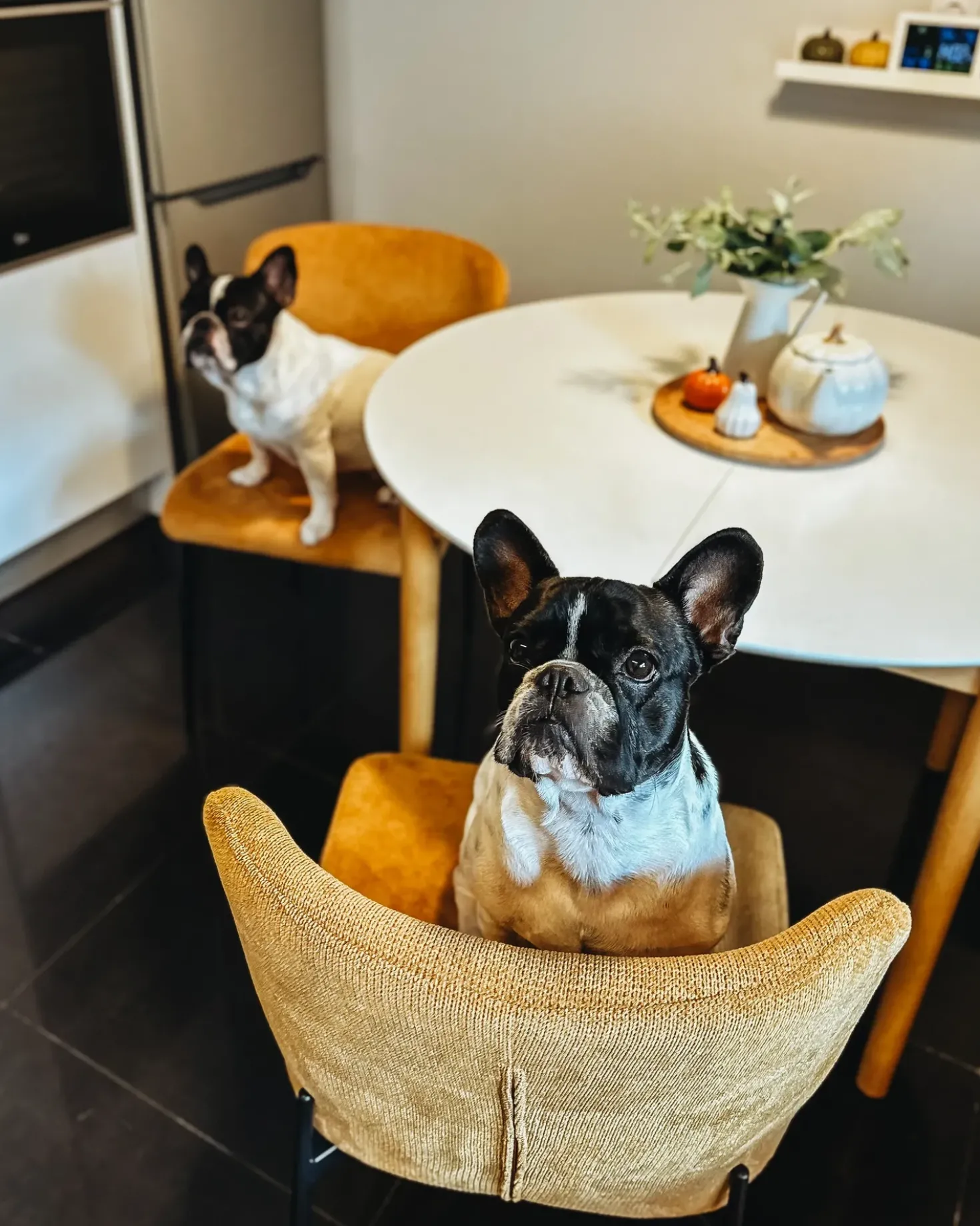 Set di 2 sedie da pranzo ADA Tessuto Arancione