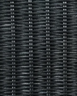 Set di 2 sedie da pranzo ANDES Rattan Nero