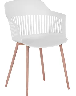 Set di 2 sedie da pranzo BERECA Bianco