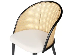 Set di 2 sedie da pranzo CORNELL Metallo Nero