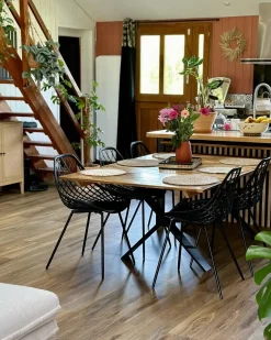 Set di 2 sedie da pranzo CANTON Nero