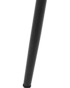 Set di 2 sedie da pranzo CANTON Nero