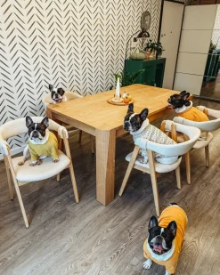 Set di 2 sedie da pranzo DAY Bouclé Marrone chiaro/Beige
