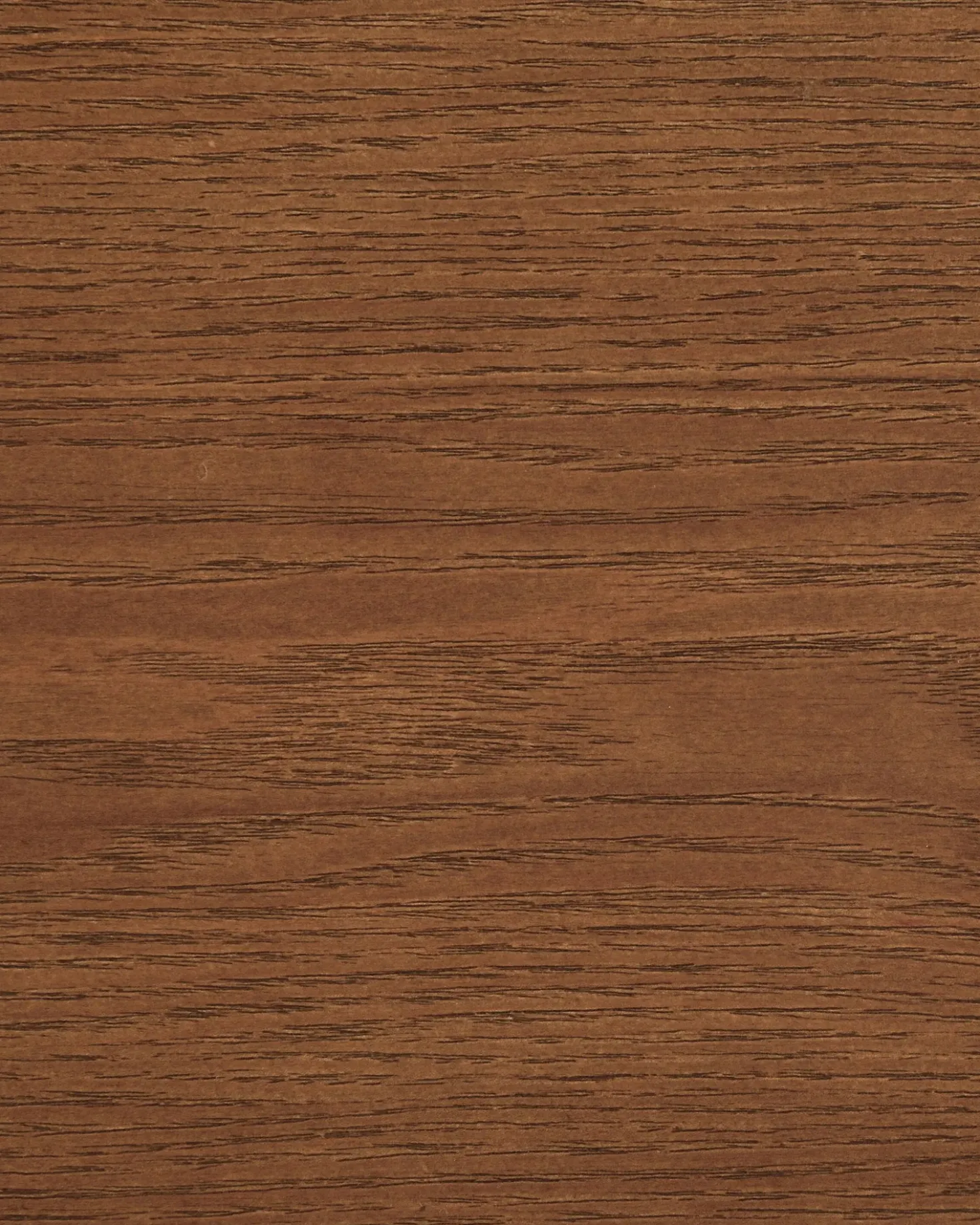 Set di 2 sedie da pranzo ELMIRA Legno Grigio