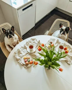 Set di 4 sedie da pranzo MONTELLO Beige